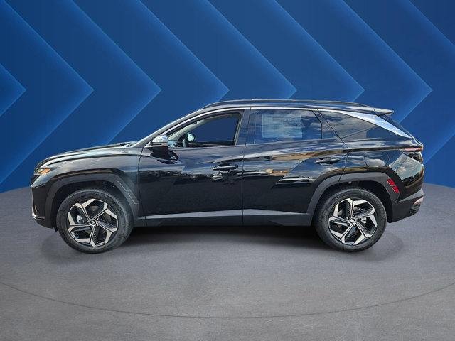2024 Hyundai Tucson Limited - Photo 6