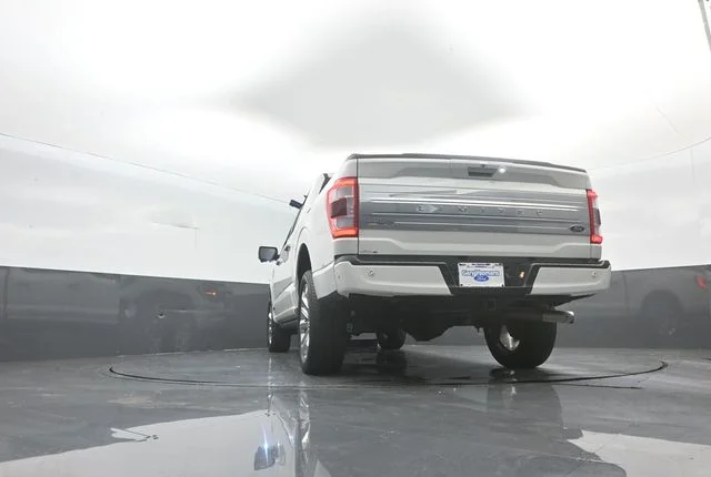 Used 2023 Star White Ford Limited image 39