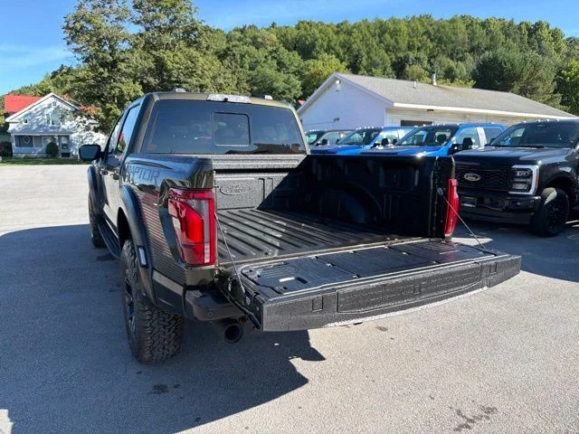 New 2026 Shelter Green Ford Raptor® image 52