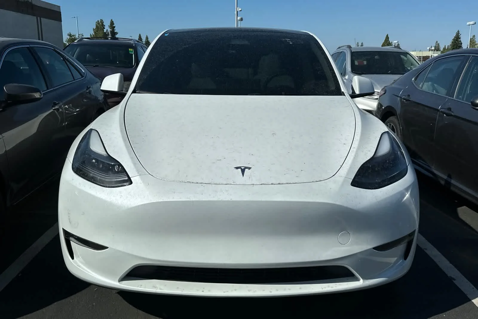 Used 2024  Tesla Long Range image 6