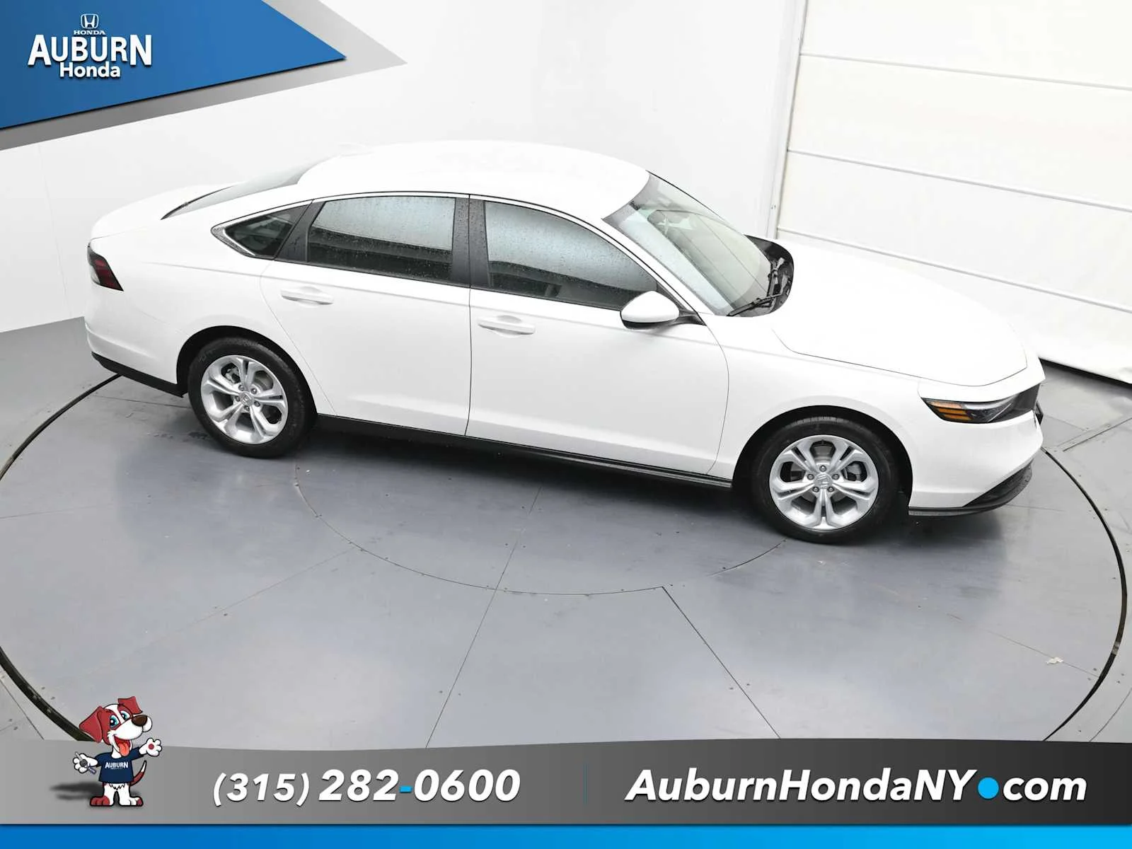 New 2025 Platinum White Pearl Honda LX image 30