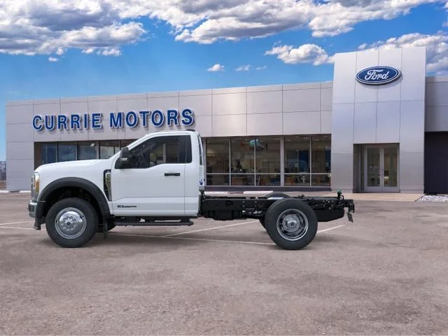 New 2026 Oxford White Ford XL image 3