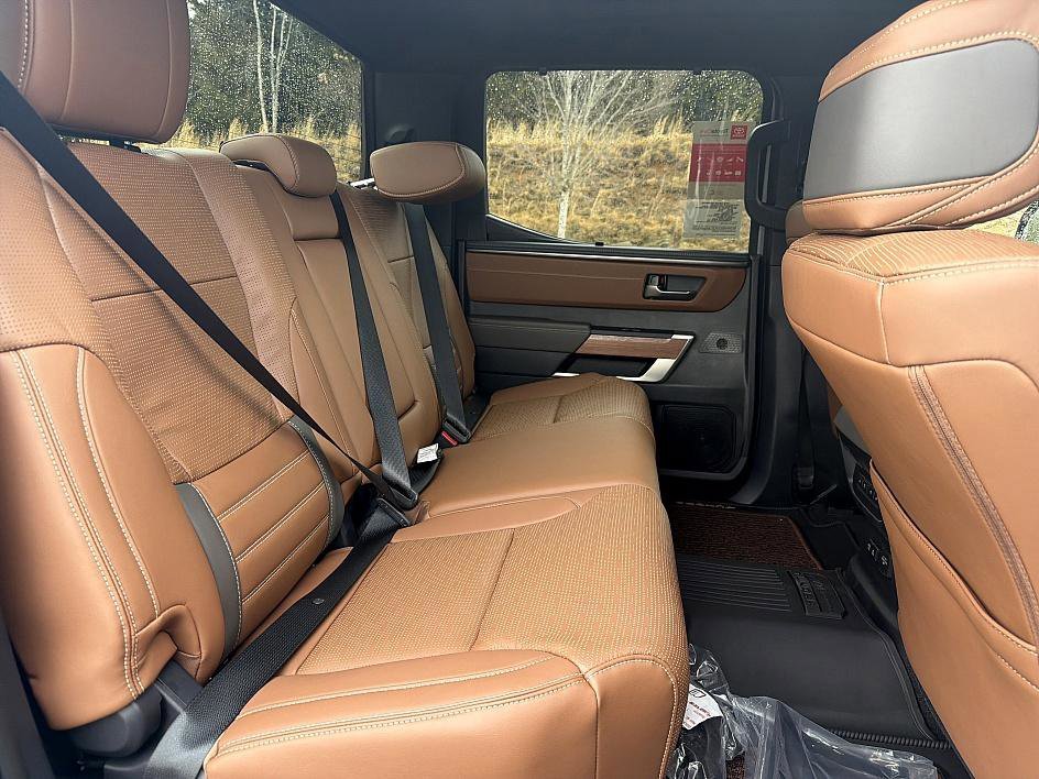 2026 Toyota Tundra 1794 Edition - Photo 21