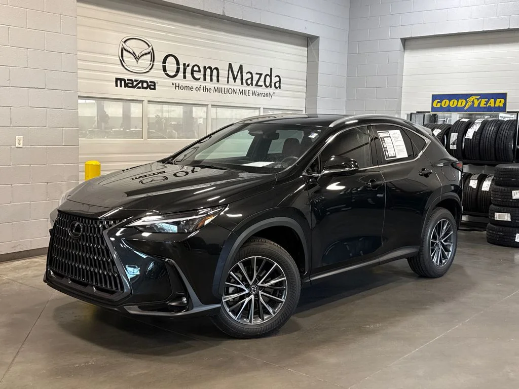 2024 Lexus NX 350 350 Premium AWD's photo