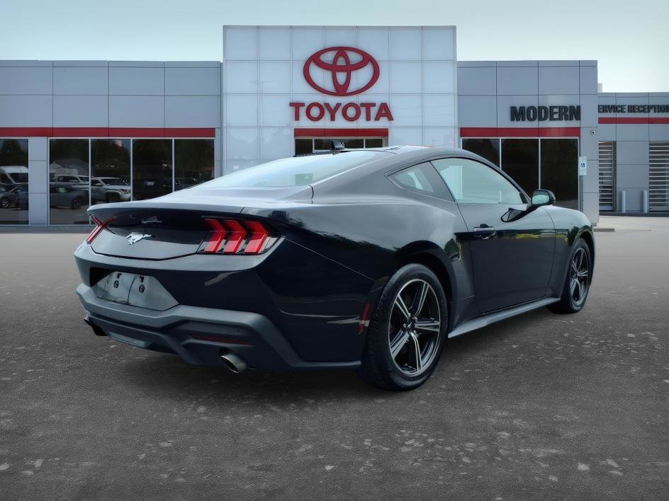Used 2025 Shadow Black Ford EcoBoost image 6