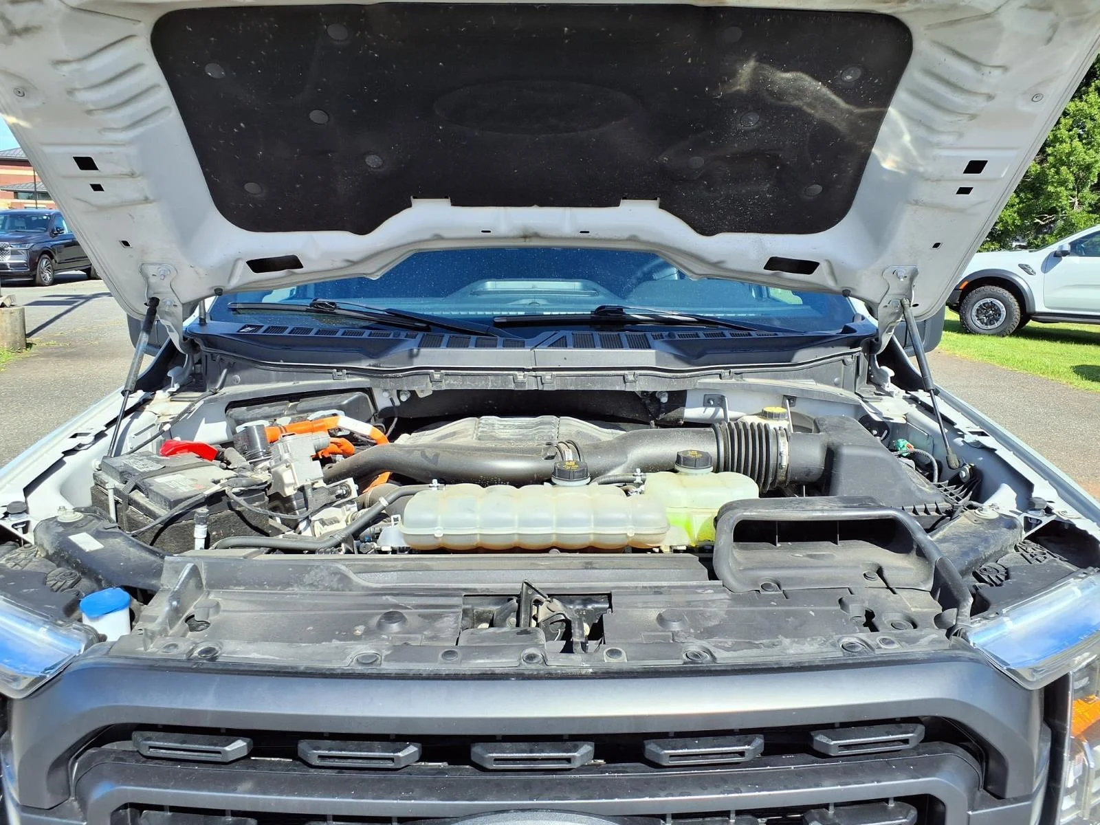 Used 2023 Avalanche Ford XLT image 28