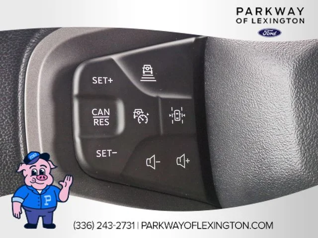 Used 2023 Blue Ford Wildtrak image 17