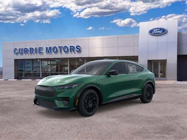 New 2026 Eruption Green Metallic Ford Premium image 23