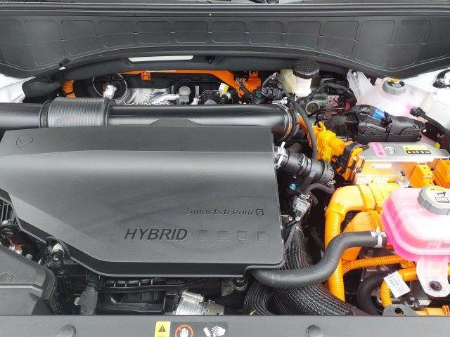 New 2026 White Pearl Hyundai Blue SEL image 17