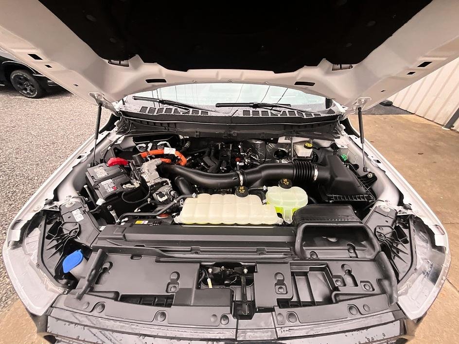 Used 2024 White Ford Platinum image 3