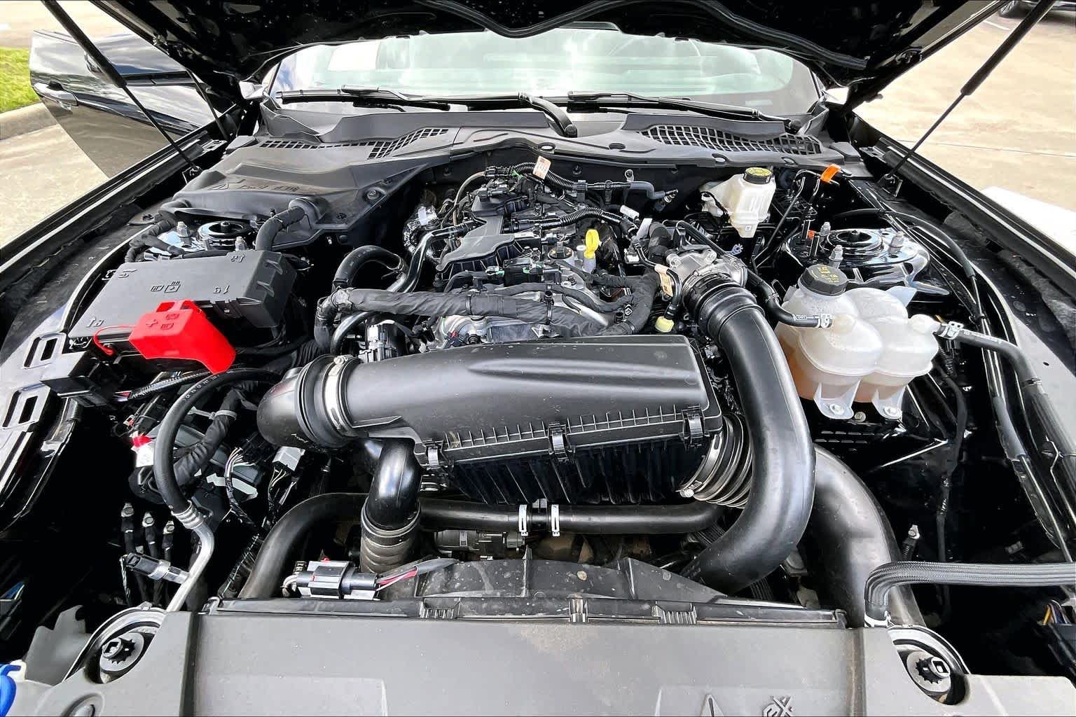 Used 2025 Shadow Black Ford EcoBoost Premium image 28