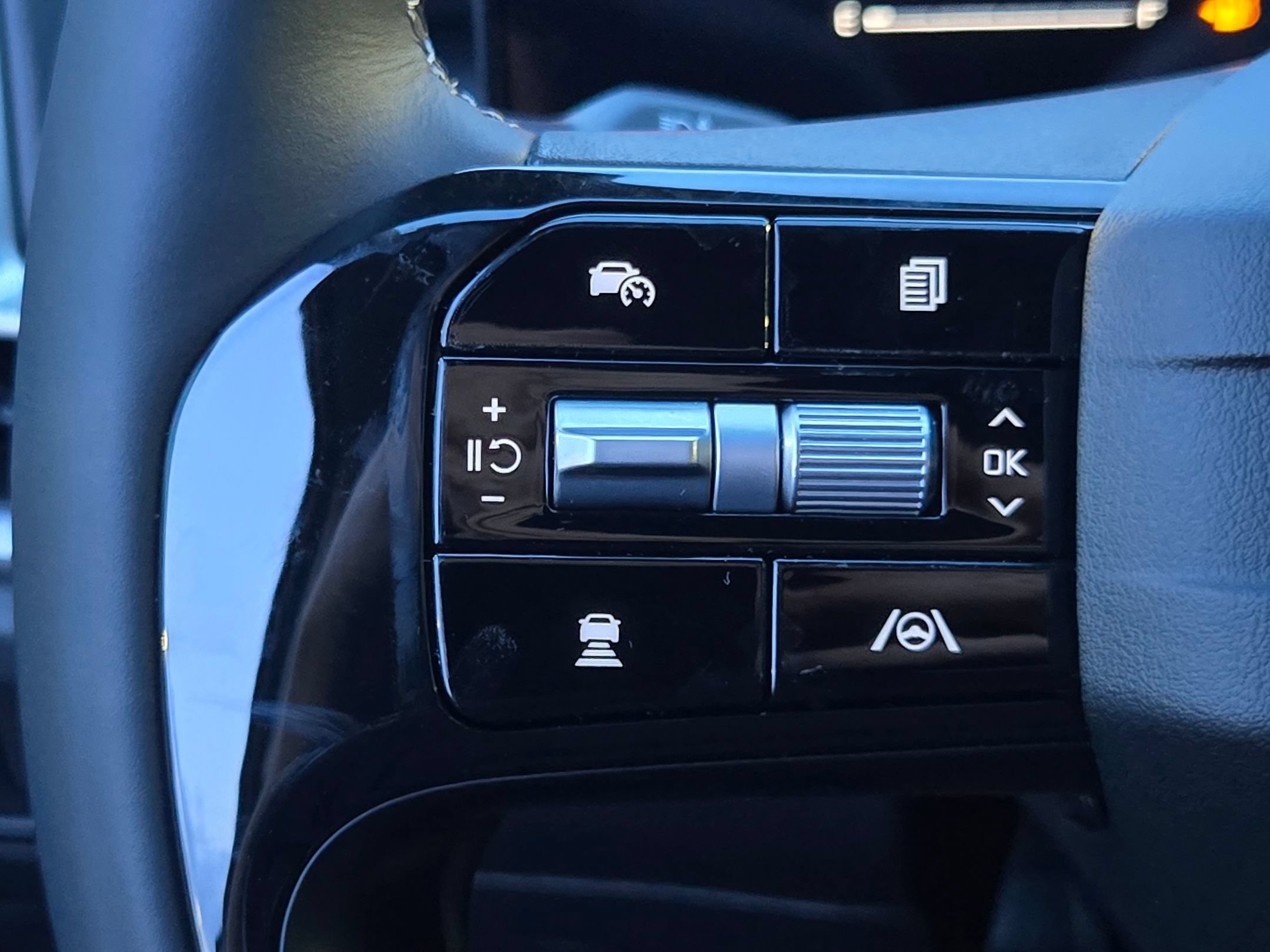 New 2026 Panthera Metal Kia LX image 22
