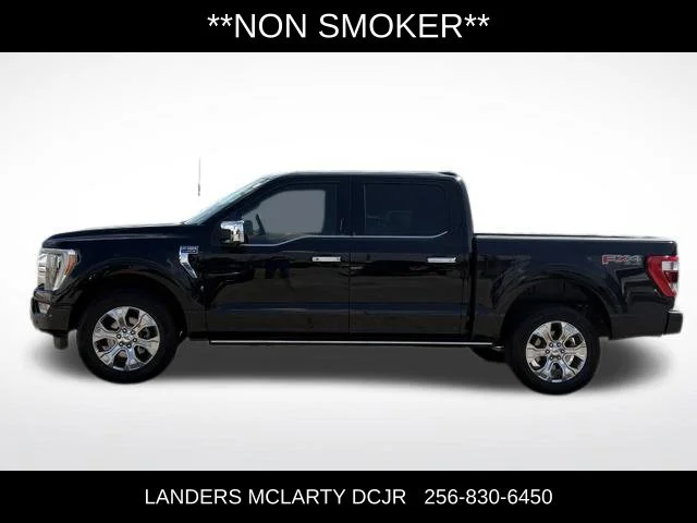 Used 2023 Black Ford Platinum image 4
