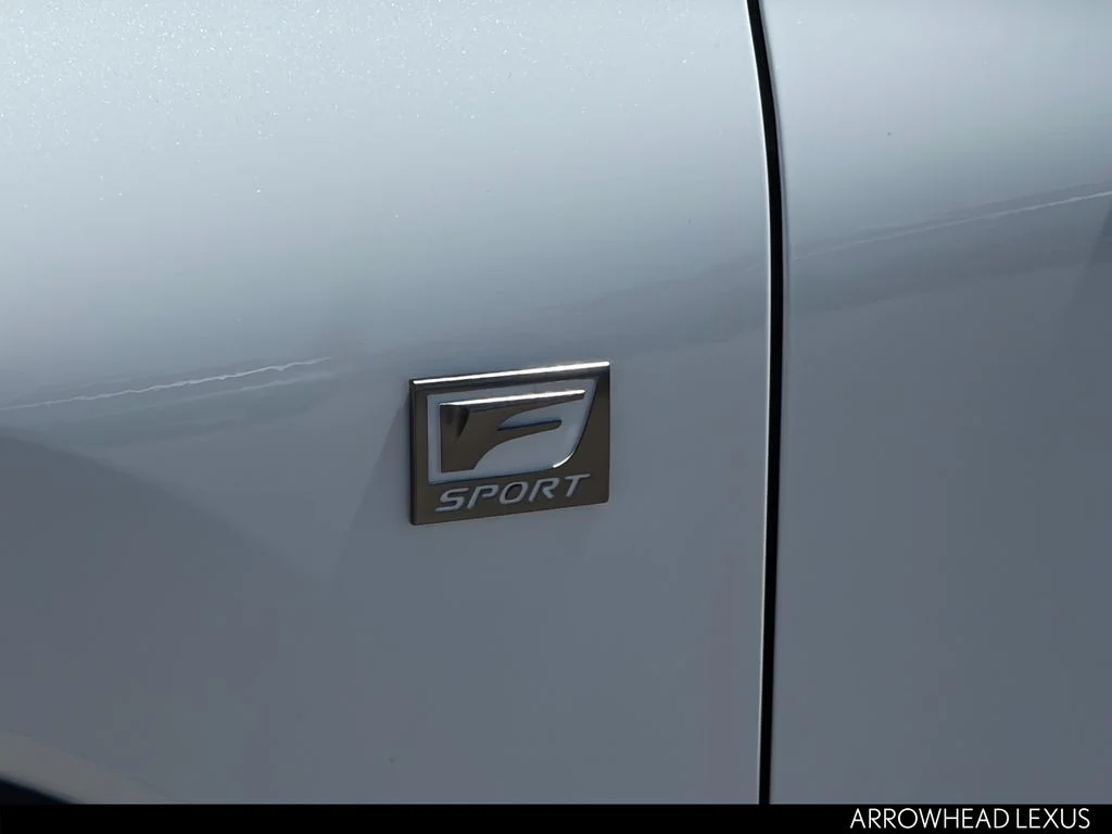 Used 2020 White Lexus 300 F Sport image 11