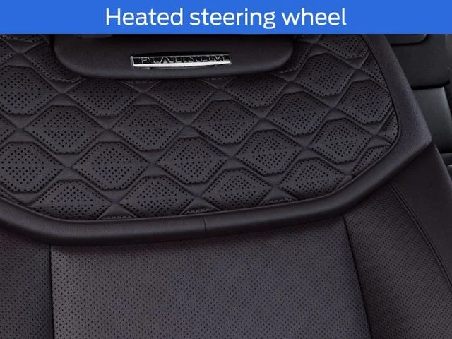 New 2027 Carbonized Gray Metallic Ford Platinum™ image 21