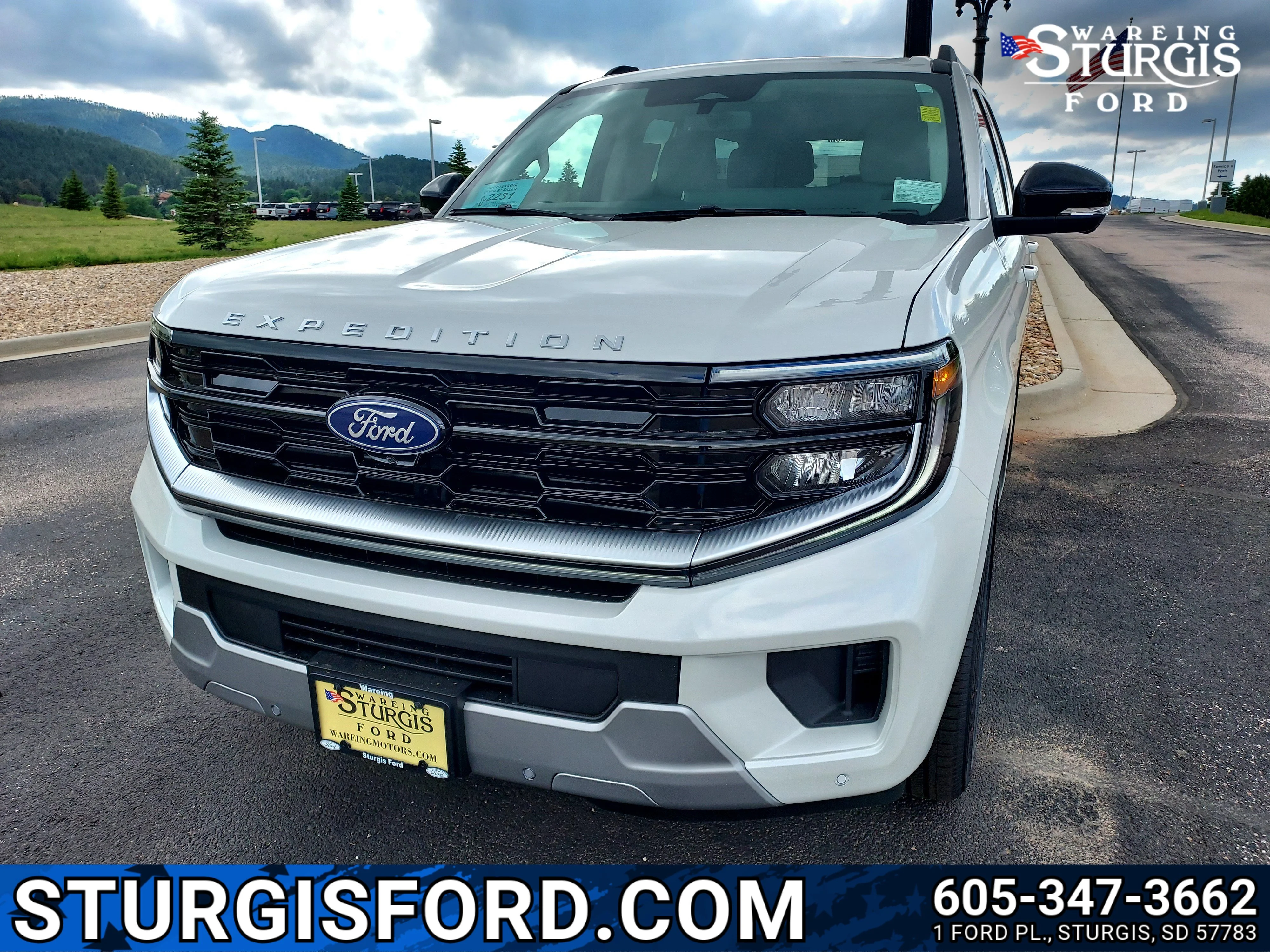 2026 Ford Expedition Platinum 4x4's photo