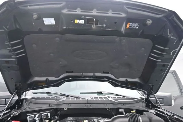 Used 2023 Black Ford XLT image 15