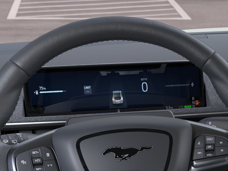 New 2026 Shadow Black Ford Premium image 14