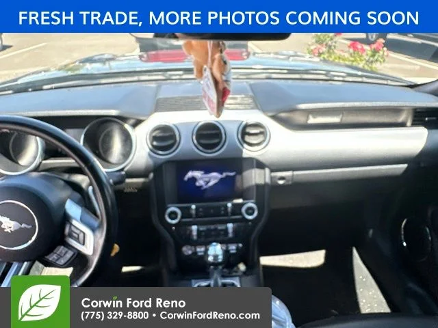 Used 2023 Gray Ford EcoBoost Premium image 9