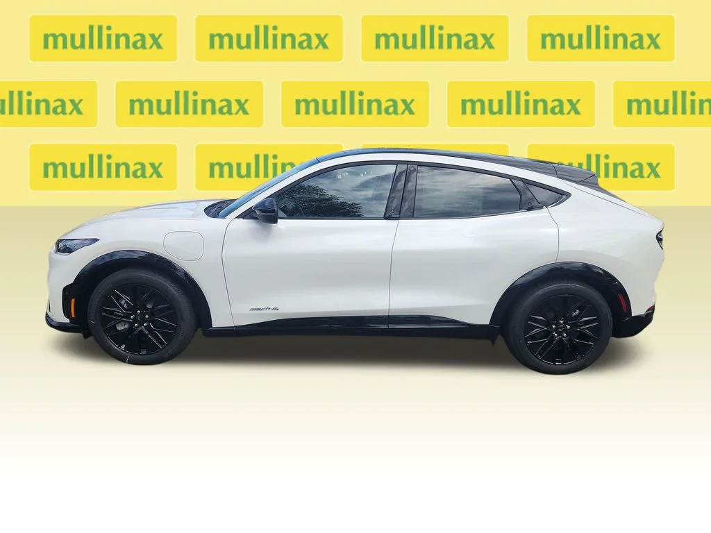New 2026 White Ford Premium image 9