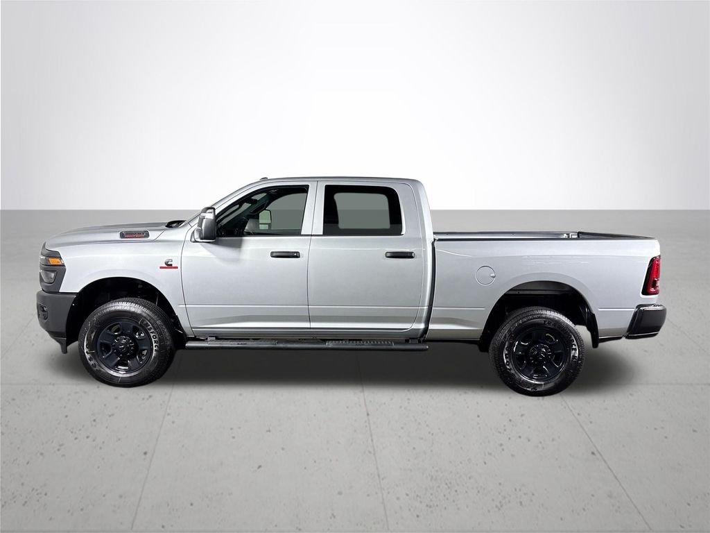 New 2026 Silver-Zynith Exterior Paint RAM Tradesman image 9