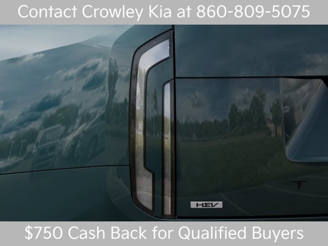 New 2027 Black Jade Green Kia X-LINE SX PRESTIGE image 11