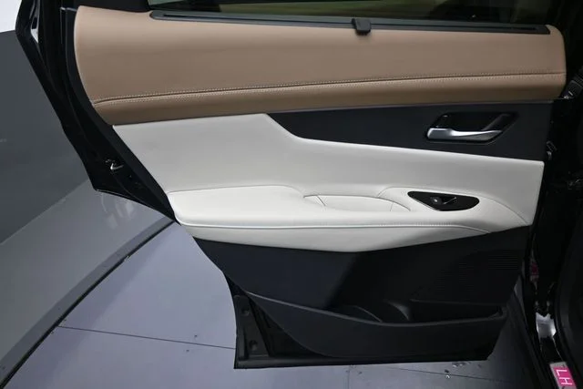 New 2026 Black Nissan Platinum image 10