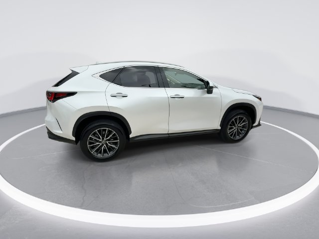 2025 Lexus NX 250 - Photo 8