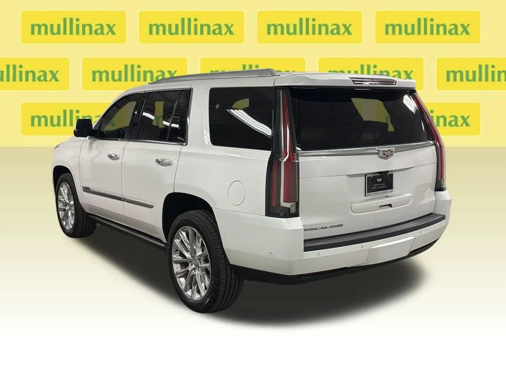 2019 Cadillac Escalade Premium Luxury - Photo 14