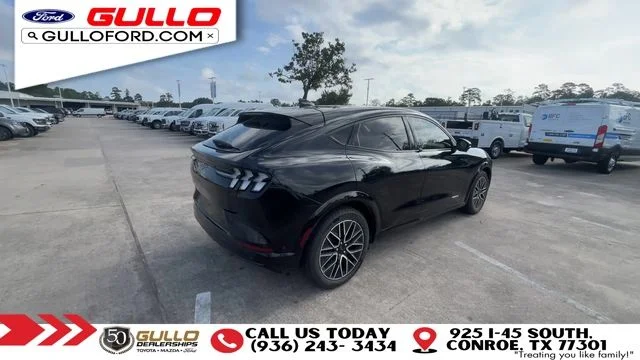 Used 2024 Shadow Black Ford Premium image 8