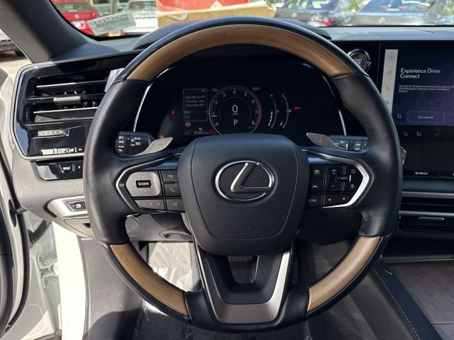 2024 Lexus RX 350 - Photo 14