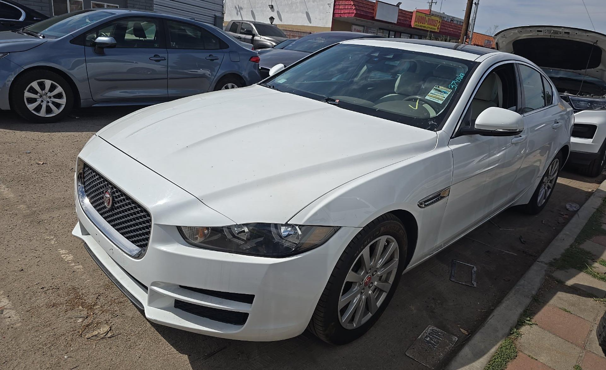 Used 2019 Fuji White Jaguar 25t image 1