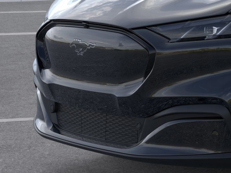 New 2026 Shadow Black Ford Premium image 21