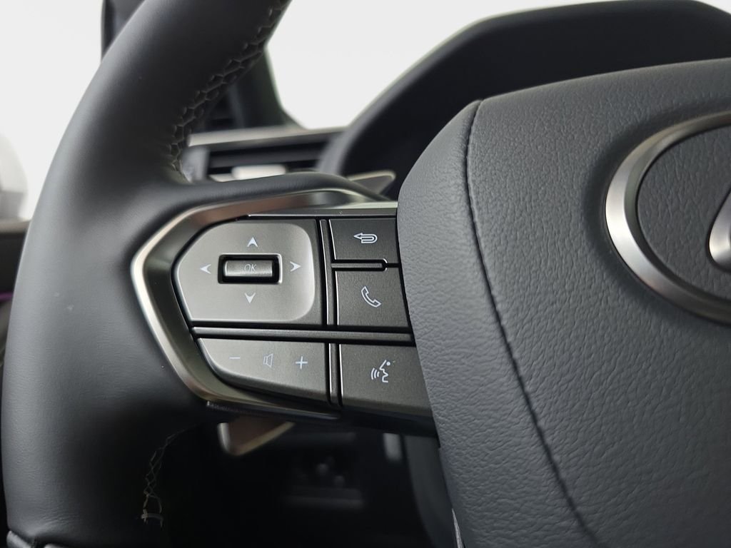 2025 Lexus LX 700h Luxury - Photo 18