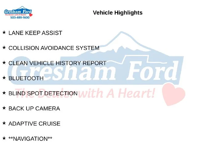 Certified Used 2019 Blue Ford King Ranch image 8
