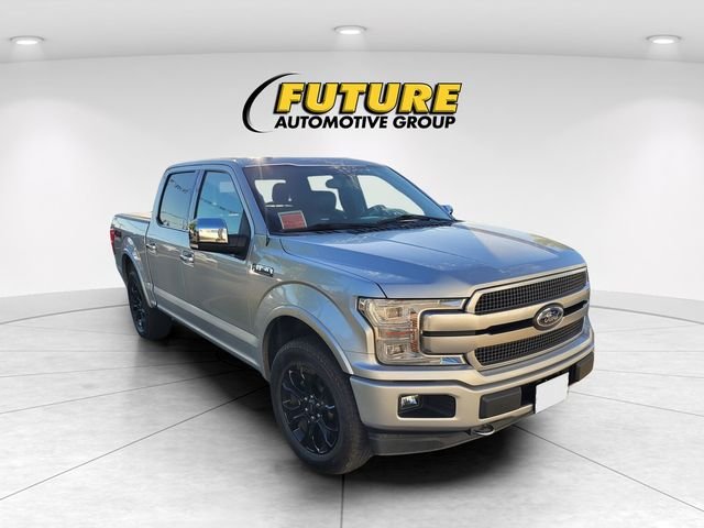 Used 2019 Silver Ford Platinum image 1