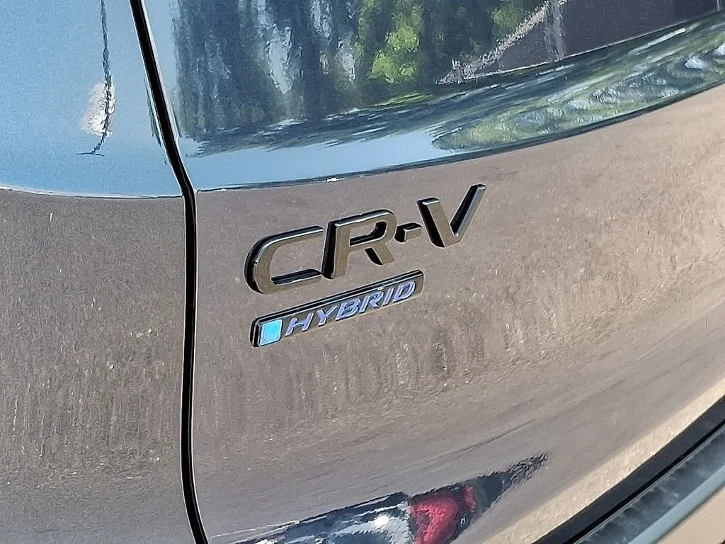 New 2026 Canyon River Bl Honda Sport-L image 6