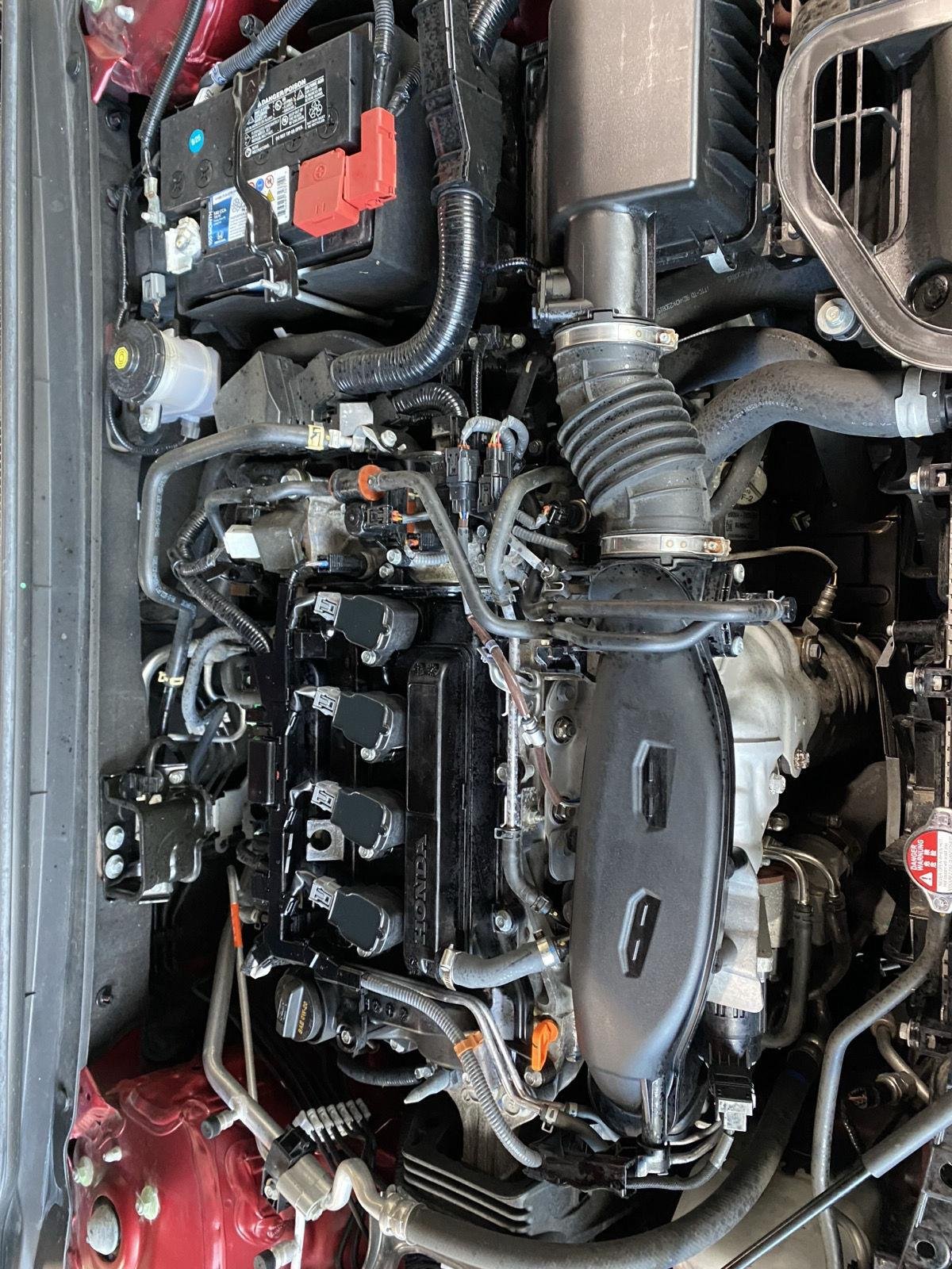 Used 2024 Radiant Red Metallic Honda LX image 9