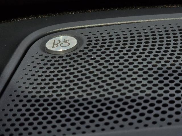 New 2026 Shadow Black Ford Raptor® image 77