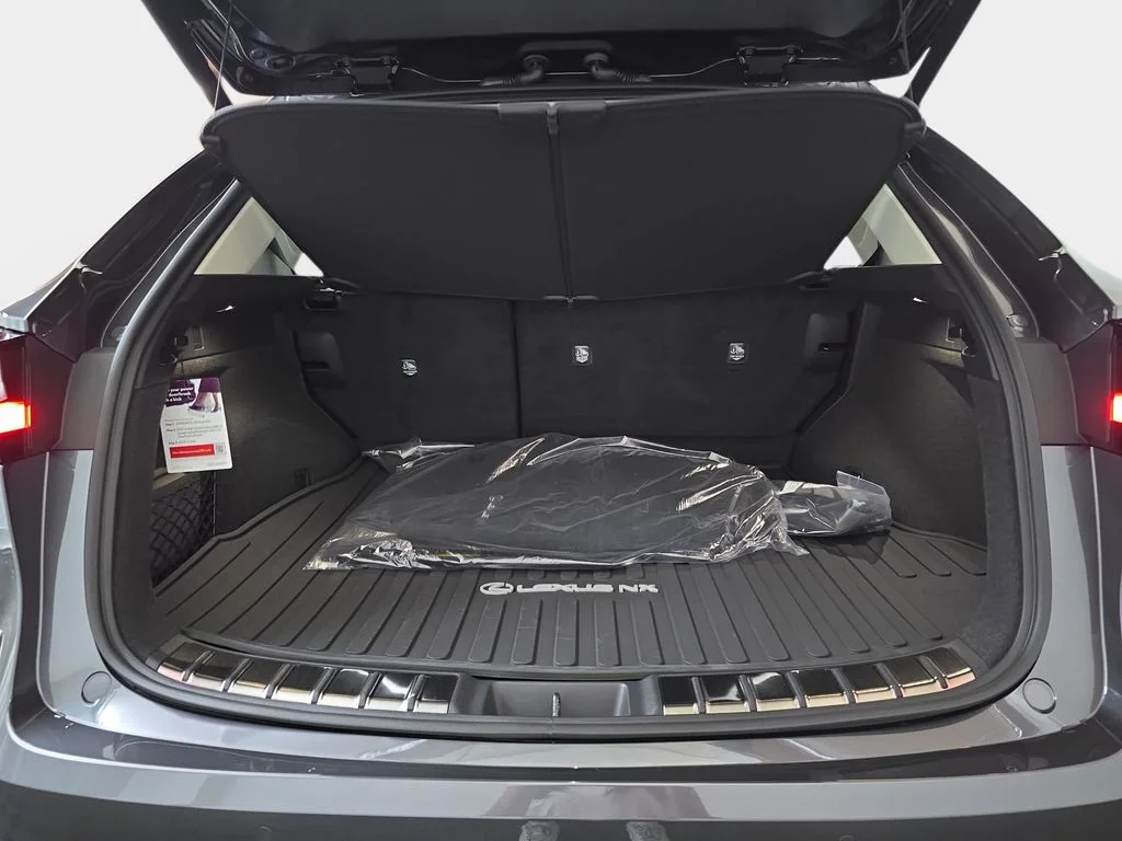 New 2026 Cloudburst Gray Lexus PREMIUM image 12