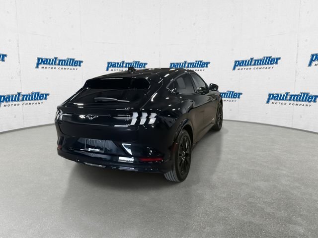 New 2026 Black Ford Premium image 8