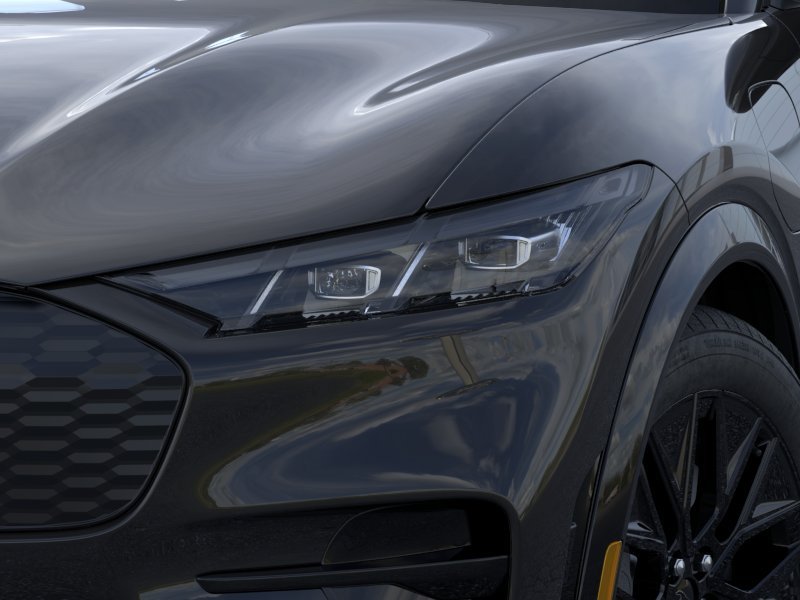 New 2026 Shadow Black Ford Premium image 46