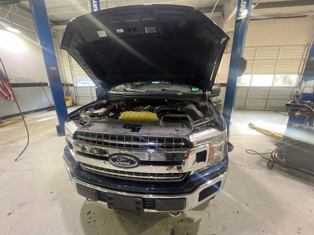 Used 2019 Blue Ford XLT image 3