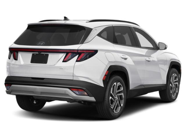 New 2026 Creamy White Pearl Hyundai Limited image 17