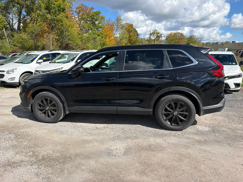 Used 2023  Honda Sport image 6