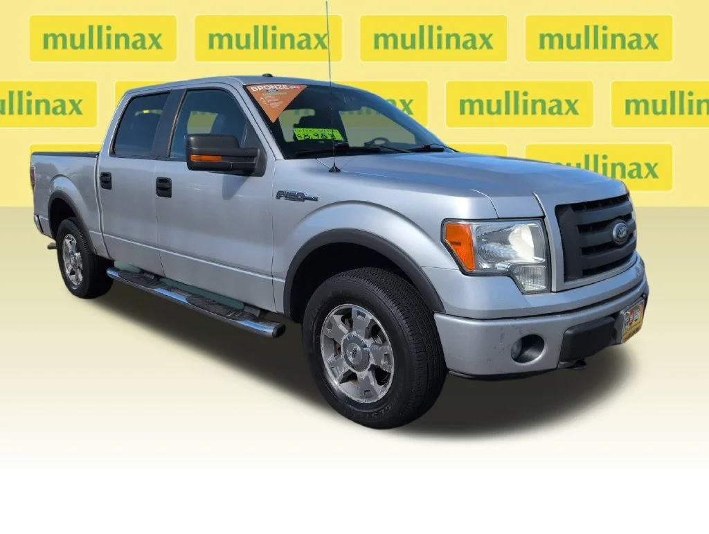 Used 2010 Silver Ford FX4 image 1
