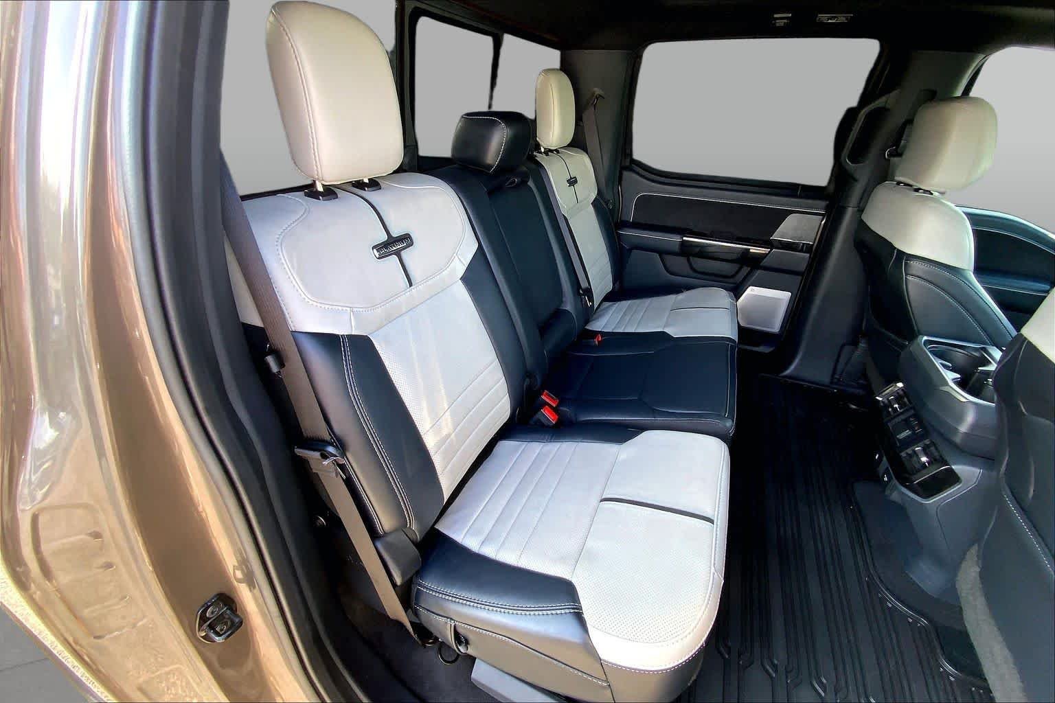 Used 2023 Stone Gray Ford Platinum image 38