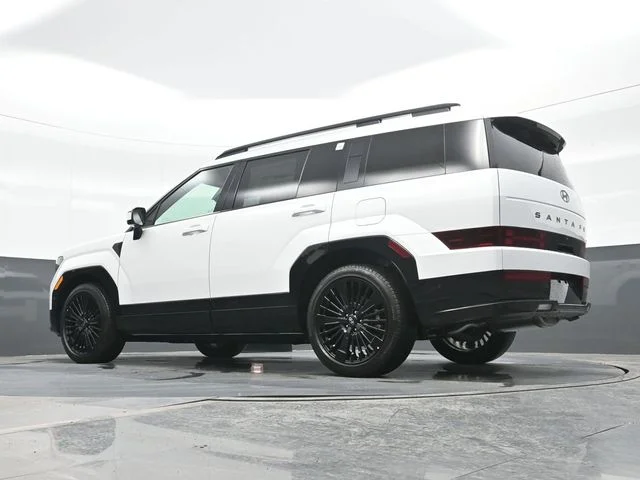 New 2026 White Hyundai Calligraphy image 19