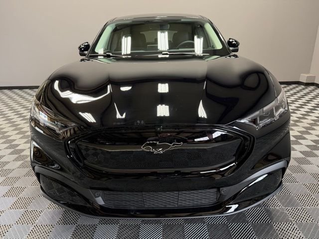 New 2026 Shadow Black Ford Premium image 4