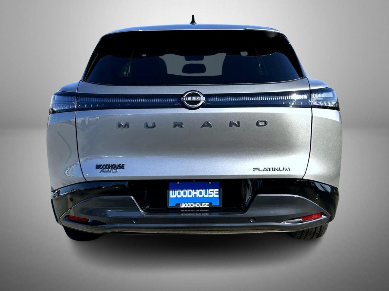 New 2026 Champagne Silver Metallic Nissan Platinum image 6